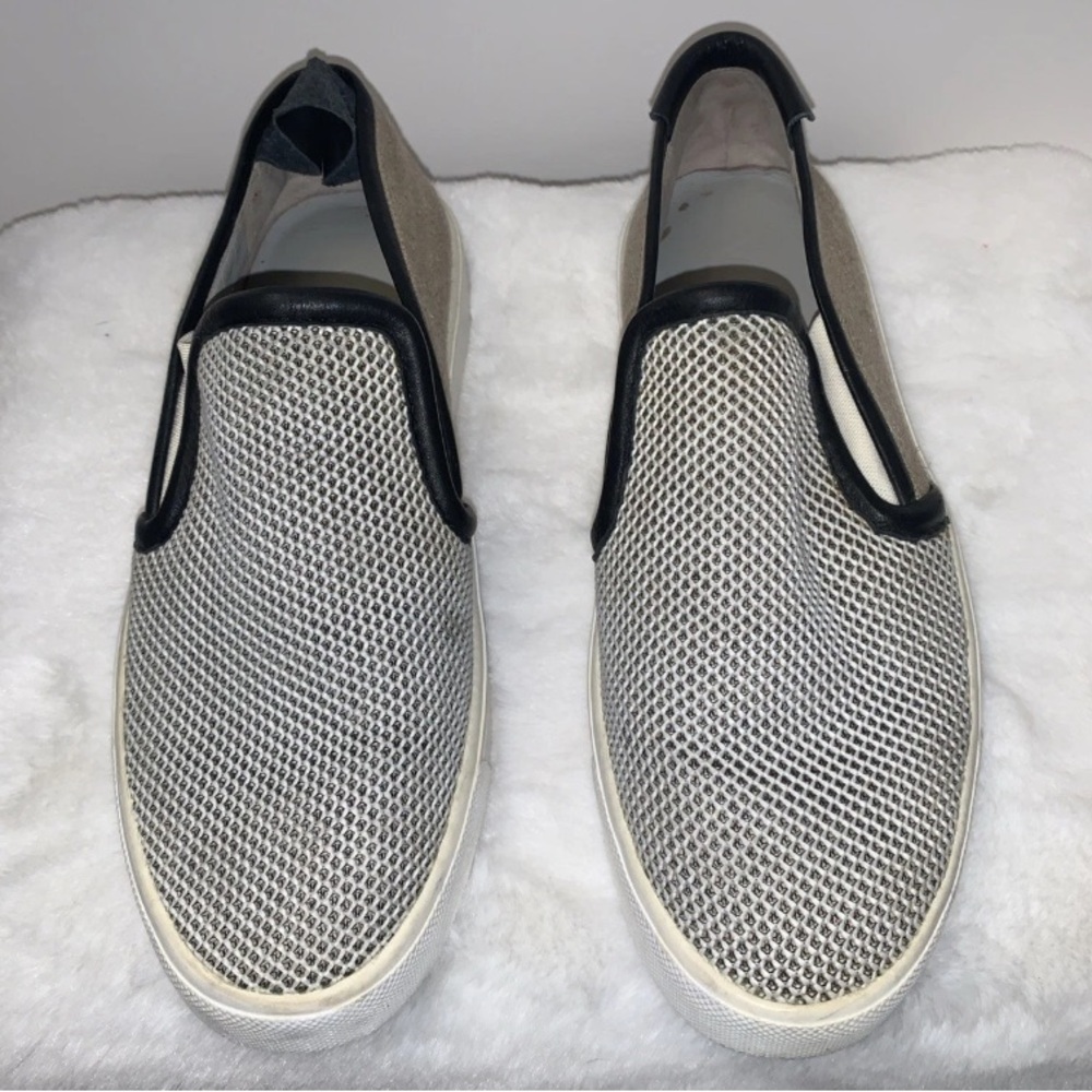 🦜 Vince 6.5 women